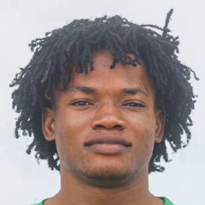 Cosmos Chimezie photo