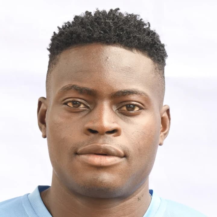 FEMI ODE photo