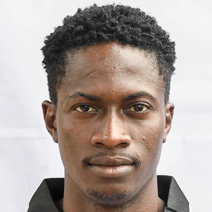 Ogunleye adetoro