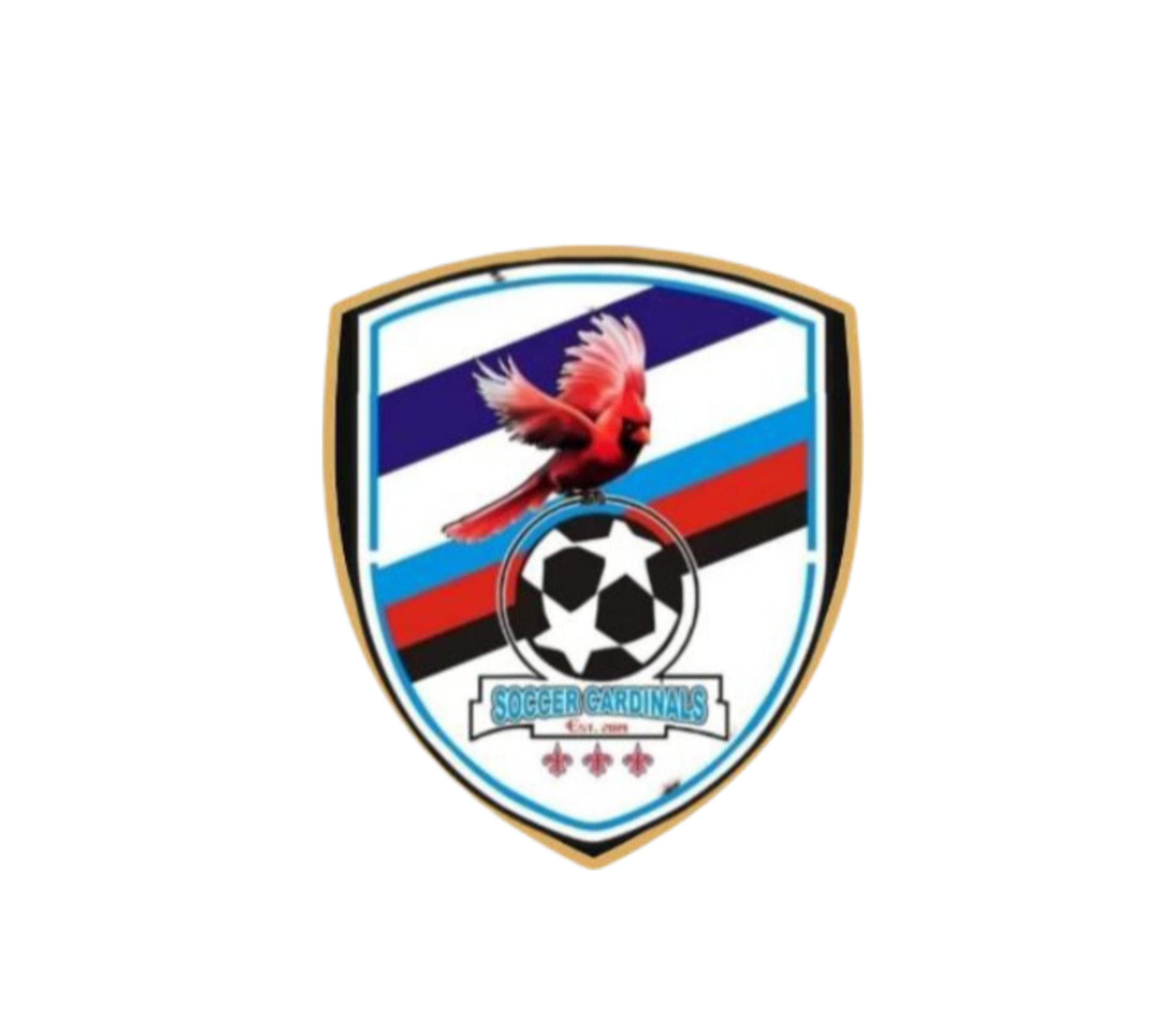 SOCCER CARDINALS F.C logo