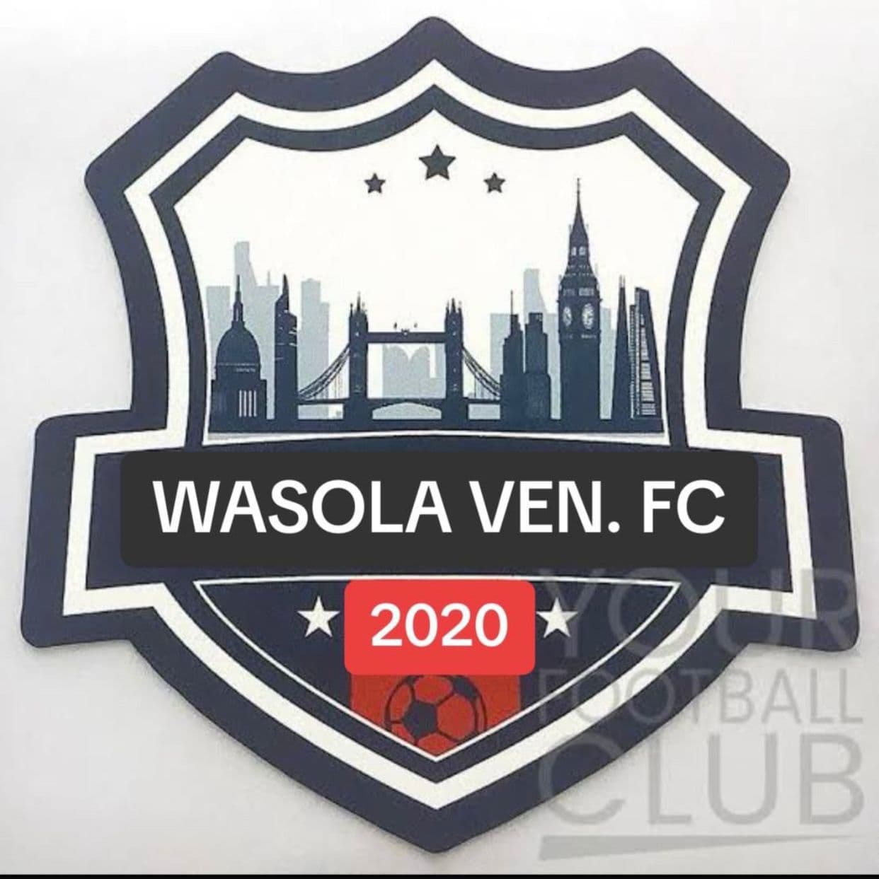 WASOLA VEN. FC logo
