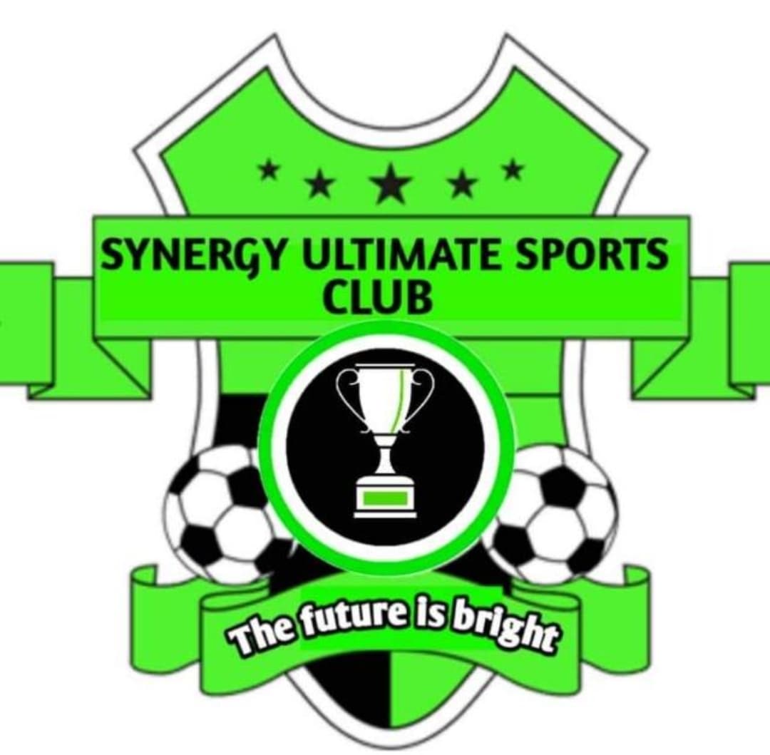 Synergy Ultimate SC logo