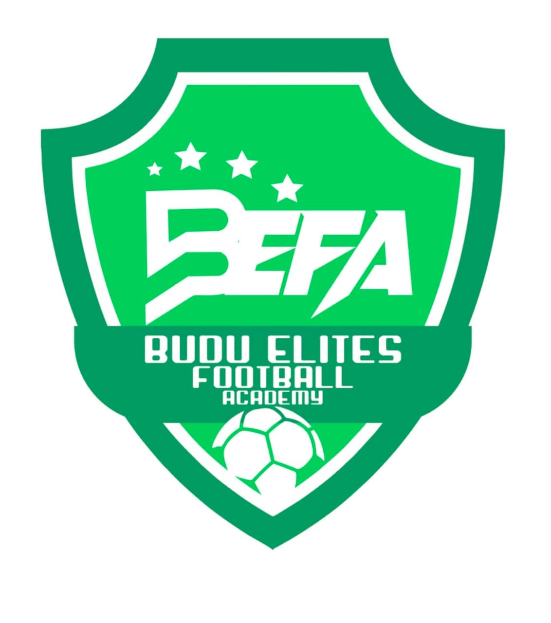 BUDU ELITES FA logo