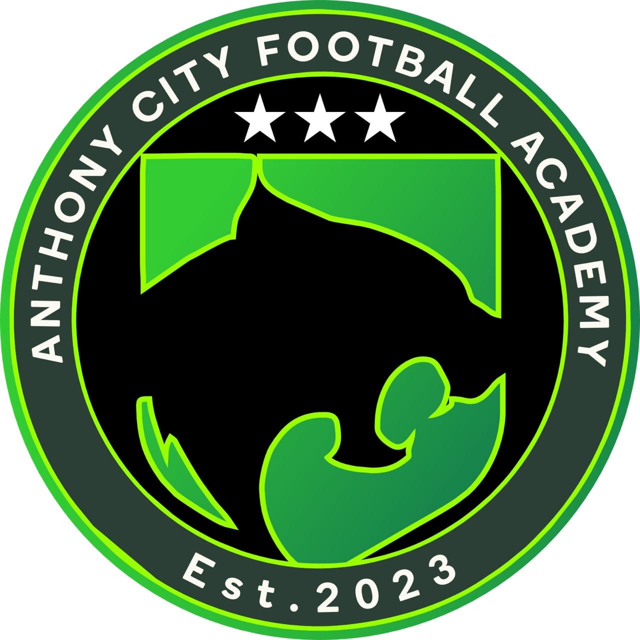Anthony City FA logo
